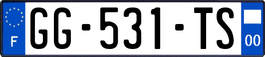 GG-531-TS