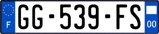 GG-539-FS