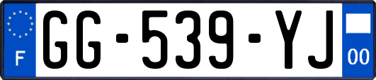 GG-539-YJ
