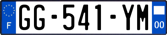 GG-541-YM