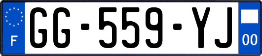 GG-559-YJ