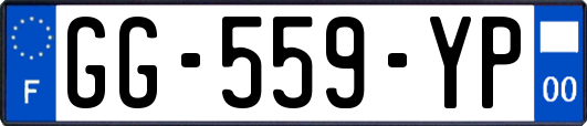 GG-559-YP