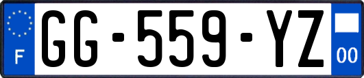 GG-559-YZ
