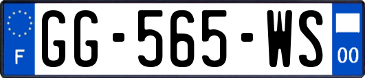 GG-565-WS