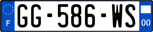 GG-586-WS