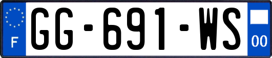 GG-691-WS