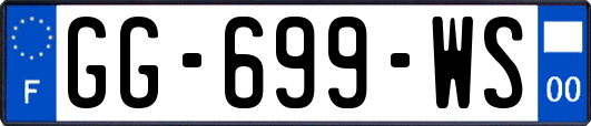 GG-699-WS