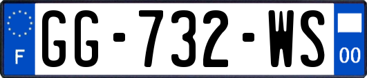 GG-732-WS