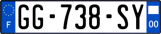 GG-738-SY