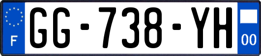 GG-738-YH