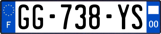 GG-738-YS