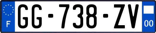 GG-738-ZV