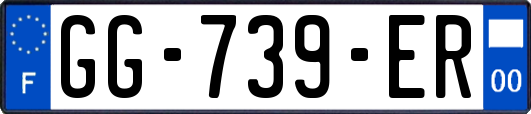 GG-739-ER