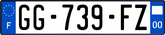 GG-739-FZ