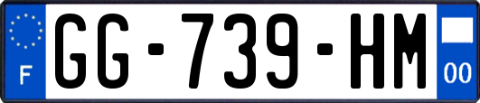 GG-739-HM