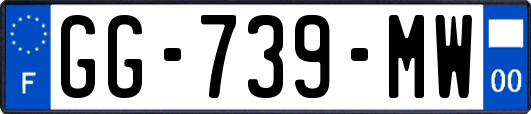 GG-739-MW