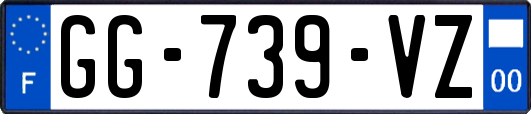 GG-739-VZ