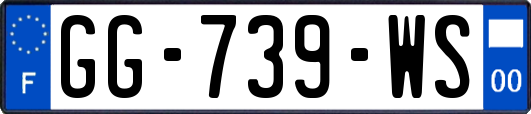 GG-739-WS
