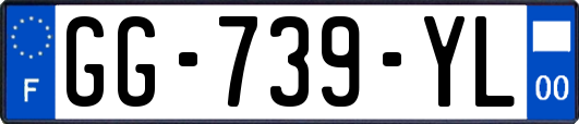 GG-739-YL