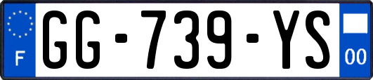 GG-739-YS