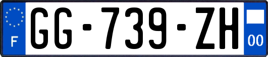 GG-739-ZH
