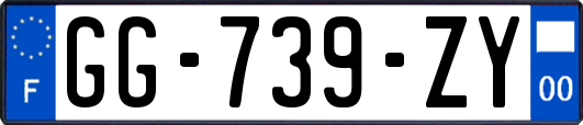 GG-739-ZY