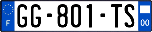 GG-801-TS