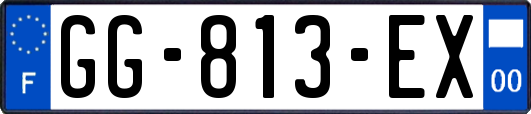 GG-813-EX