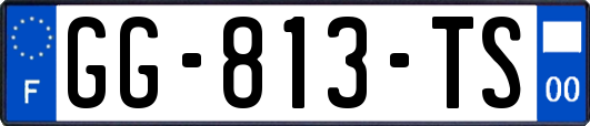 GG-813-TS