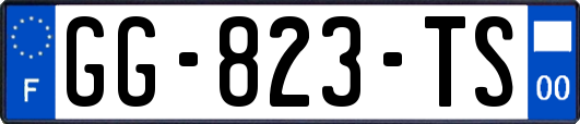 GG-823-TS