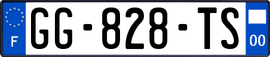 GG-828-TS