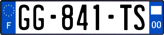 GG-841-TS