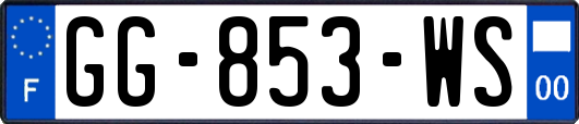 GG-853-WS
