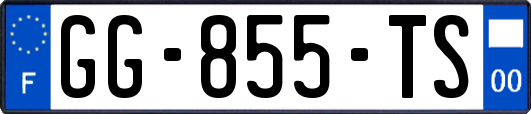 GG-855-TS