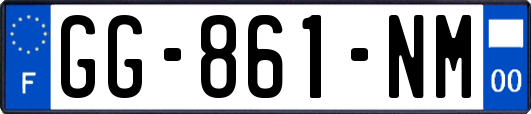 GG-861-NM