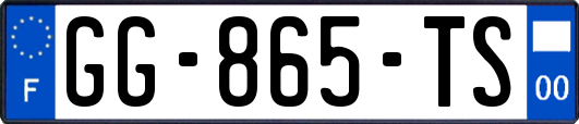 GG-865-TS