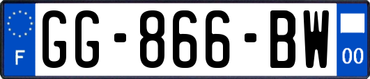 GG-866-BW