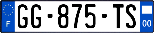 GG-875-TS