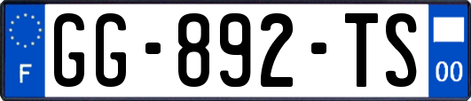 GG-892-TS