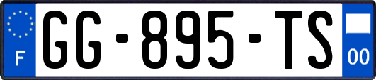 GG-895-TS
