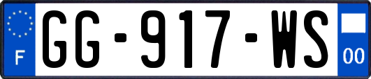 GG-917-WS