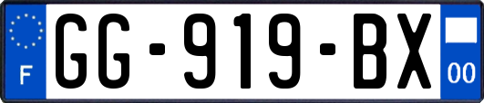 GG-919-BX