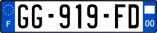 GG-919-FD