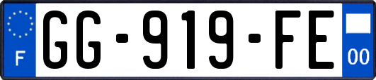 GG-919-FE
