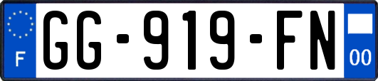 GG-919-FN