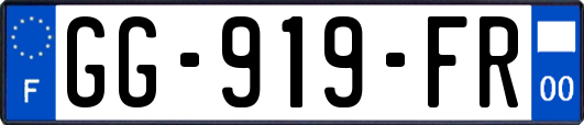 GG-919-FR