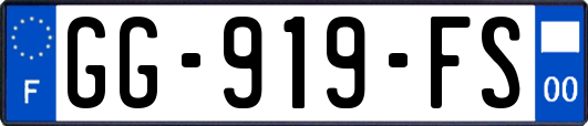 GG-919-FS
