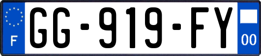 GG-919-FY