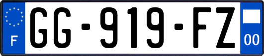 GG-919-FZ