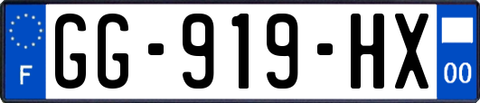GG-919-HX